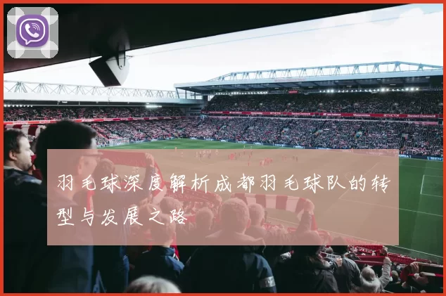 羽毛球深度解析成都羽毛球队的转型与发展之路