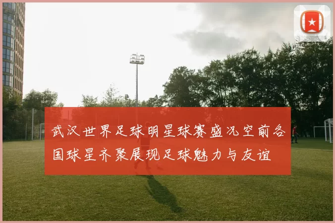 武汉世界足球明星球赛盛况空前各国球星齐聚展现足球魅力与友谊