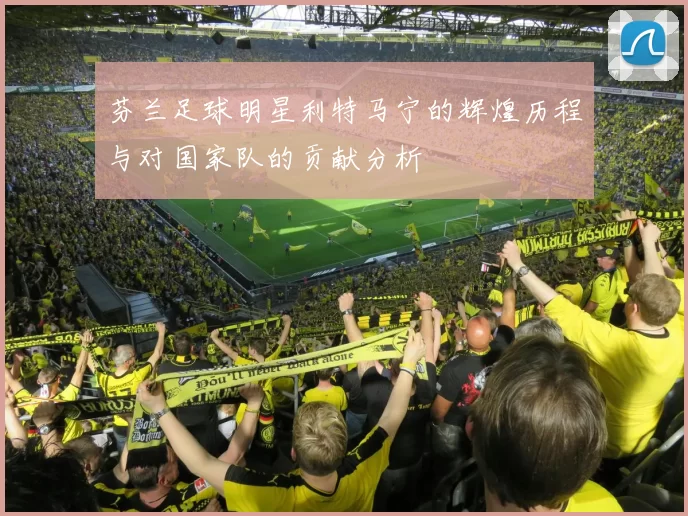 芬兰足球明星利特马宁的辉煌历程与对国家队的贡献分析