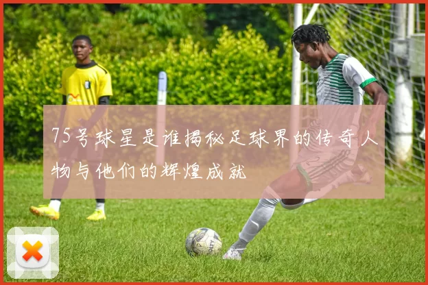75号球星是谁揭秘足球界的传奇人物与他们的辉煌成就
