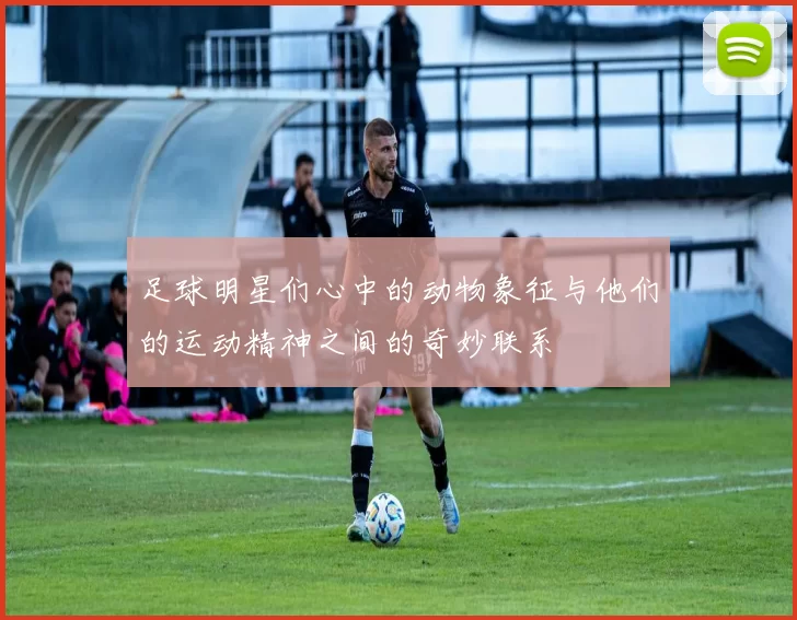 足球明星们心中的动物象征与他们的运动精神之间的奇妙联系