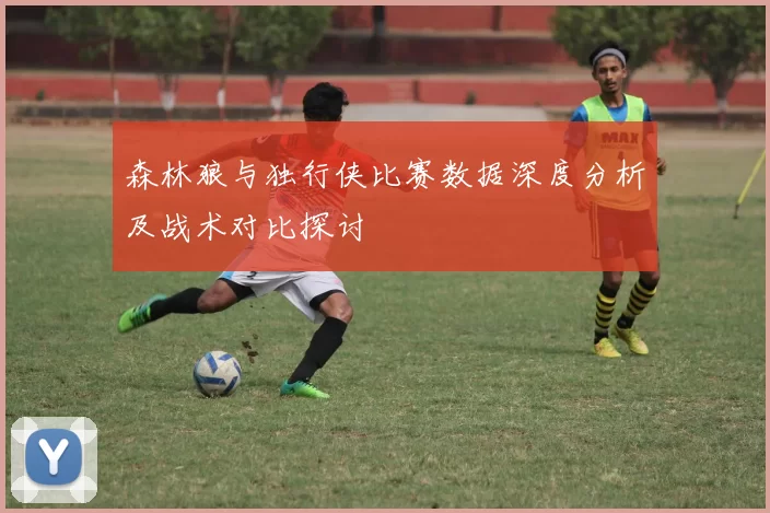 森林狼与独行侠比赛数据深度分析及战术对比探讨