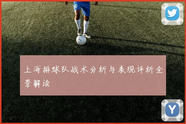 上海排球队战术分析与表现评析全景解读